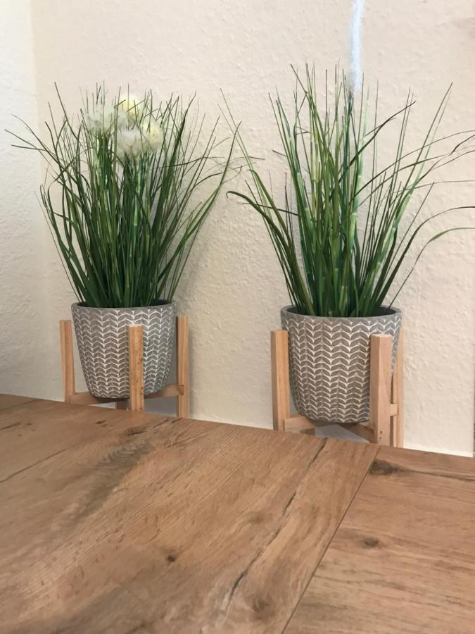 Ferienwohnung Schroeder Λειψία Εξωτερικό φωτογραφία